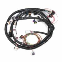 Products - EFI-Fuel Injection - Harnesses